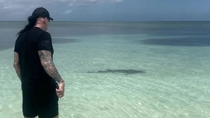WATCH: WWE legend The Undertaker displays fearlessness, protects wife from shark encounter at beach