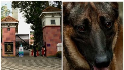 പൊലീസ് നായകളെ വാങ്ങിയതിൽ ക്രമക്കേട്, ഭക്ഷണത്തിലും അഴിമതി: ഡോ​ഗ് സ്ക്വാഡ് നോഡൽ ഓഫീസർക്ക് സസ്പെൻഷൻ