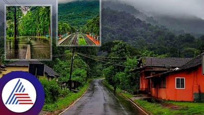 ಸದ್ದಿರದ ಪಸುರುಡೆಯ ಮಲೆನಾಡ ಬನಗಳಲಿ..ನೀವು ನೋಡ್ಲೇಬೇಕಾದ ಜಾಗಗಳಿವು 