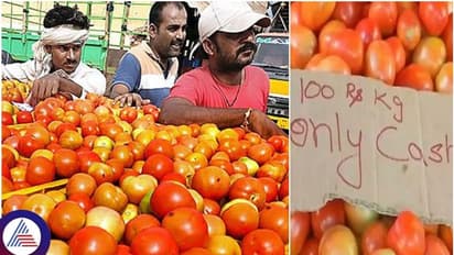 ಟೊಮ್ಯಾಟೊ ಬೆಲೆ 100 ರೂ. ಗಡಿ ದಾಟಲು ಕಾರಣ ಬಹಿರಂಗ: ಇನ್ನೂ 2 ತಿಂಗಳು ಕಡಿಮೆಯಾಗೋಲ್ಲ
