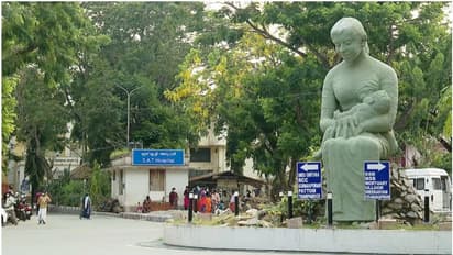 മൂന്നാഴ്ചയായി പനി, ഒടുവിൽ കൊല്ലത്ത് 7 വയസുകാരിക്ക് ബ്രൂസെല്ലോസിസ് രോഗം സ്ഥിരീകരിച്ചു; ഉറവിടം കണ്ടെത്താനായില്ല