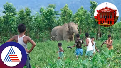 ಪ್ರಾಣಿ ದಾಳಿ: ಕಂಟ್ರೋಲ್‌ ರೂಂ ಸ್ಥಾಪನೆಗೆ ಹೈಕೋರ್ಟ್ ಆದೇಶ 