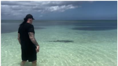 അണ്ടര്ടേക്കറും സ്രാവും തമ്മിലൊരു അങ്കം; വിജയിയെ അറിയാമോ ?