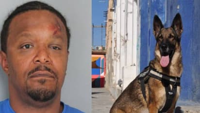 മദ്യാസക്തിയിൽ പൊലീസുനായയെ കടിച്ചുപരിക്കേൽപ്പിച്ച് 47 -കാരൻ, നായ ആശുപത്രിയിൽ 