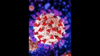 அமெரிக்கா தான் எல்லாதுக்கும் காரணமா? கோவிட் தோற்றம் குறித்து ரஷ்யா வெளியிட்ட 2000 பக்க அறிக்கை.. 