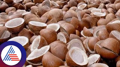 ಉಂಡೆ ಕೊಬ್ಬರಿಗೆ 1,250 ರು. ಪ್ರೋತ್ಸಾಹ ಧನ: ಸಚಿವ ಶಿವಾನಂದ ಪಾಟೀಲ್