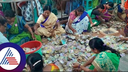 ಮತ್ತೆ ಕೋಟ್ಯಾಧಿಪತಿಯಾದ ನಂಜನಗೂಡು ಶ್ರೀಕಂಠೇಶ್ವರ; ಹುಂಡಿಯಲ್ಲಿ ₹1.77 ಕೋಟಿ ಸಂಗ್ರಹ!