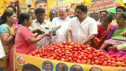 குறைந்த விலையில் தக்காளி: ஆந்திராவில் போட்டி போட்டு கொண்டு விற்கும் அரசியல் கட்சிகள்!