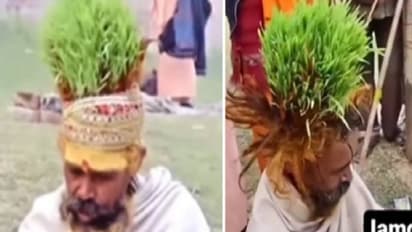 സ്വന്തം തലയിൽ ചെടികൾ വളർത്തുന്ന ഒരാൾ, വേര് പിടിക്കുമ്പോൾ ചെയ്യുന്നത്...