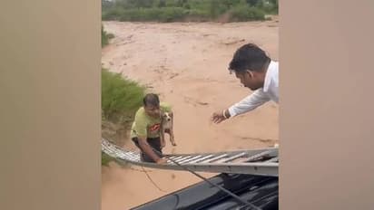 വെള്ളക്കെട്ടിൽ കുടുങ്ങിയ നായയെ രക്ഷിക്കാൻ യുവാവിന്റെ സാഹസികത; വൈറലായി വീഡിയോ