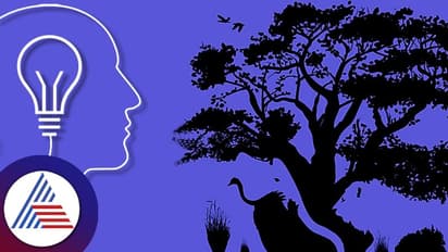 Picture and Personality: ಚಿತ್ರ ನೋಡಿದಾಗ ಮೊದಲೇನು ಕಂಡಿತು? ಅದು ನಿಮ್ಮ ವ್ಯಕ್ತಿತ್ವ ಹೇಳುತ್ತೆ!