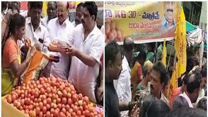 ಎಲೆಕ್ಷನ್ ಎಫೆಕ್ಟ್, ಆಂಧ್ರದಲ್ಲಿ ರಾಜಕೀಯ ಪಕ್ಷಗಳಿಂದ ಕೆಜಿಗೆ ಬರೀ 30 ರೂಪಾಯಿಗೆ ಟೊಮ್ಯಾಟೋ ಸೇಲ್!