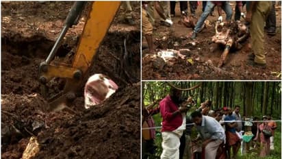 വാഴക്കോട്ടെ ആനക്കൊല: മുഖ്യപ്രതി കടന്നത് ​ഗോവയിലേക്ക്, ആനയെ കുഴിച്ചിടാൻ എത്തിയ 2 പേർ കസ്റ്റ‍ഡിയിൽ