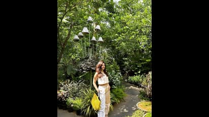 పచ్చని చెట్ల మధ్య మెస్మరైజ్‌ చేసే మెహరీన్‌ అందాలు.. టాప్‌కి, ప్యాంట్‌కి మధ్య గాపిచ్చి రచ్చలేపుతున్న ఎఫ్‌3 భామ