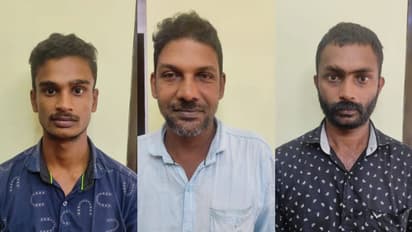 'പറമ്പിൽ കെട്ടിയിട്ട പോത്തുകൾ അപ്രത്യക്ഷമായി', വെണ്മണിയിലെ മോഷണത്തിൽ കൂടുതൽ പ്രതികൾ പിടിയിൽ