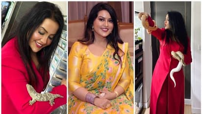 ಹಾವಿನೊಂದಿಗೆ ಅಮೃತಾ ಫಡ್ನವಿಸ್, 'ಮಹಾರಾಷ್ಟ್ರದಲ್ಲಿ ಹೀಗೆ ಆಗ್ತಿದೆ' ಎಂದ ನೆಟ್ಟಿಗರು!