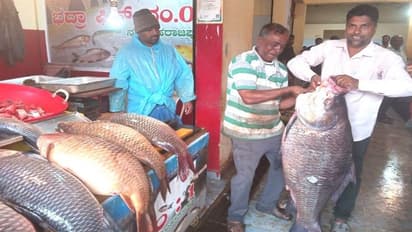 ನರಸಿಂಹರಾಜಪುರ: ಭದ್ರಾ ಹಿನ್ನೀರಿನ ಮೀನುಗಳಿಗೆ ಡಿಮ್ಯಾಂಡಪ್ಪೋ.. ಡಿಮ್ಯಾಂಡು..!