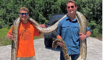 യുഎസ്സിലെ ഏറ്റവും വലിയ ബർമീസ് പെരുമ്പാമ്പ്! 19 അടി നീളമുള്ള പാമ്പിനെ പിടികൂടി