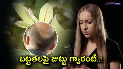 Hair Care: గోరింటాకు, హెన్నా కాదు, జామాకులను జుట్టుకు పెడితే ఏమౌతుంది?