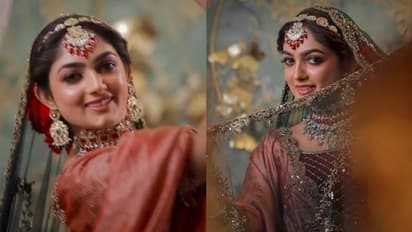 മനോഹരിയായി 'ഗീതാഗോവിന്ദ'ത്തിലെ ഗീതു: വീഡിയോ