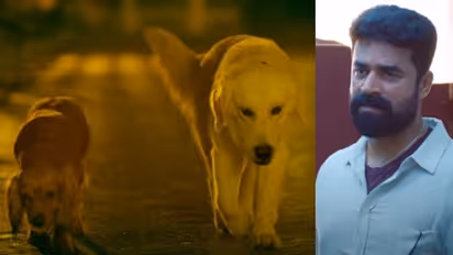 'നമുക്ക് വേണ്ടി ജീവിതം തന്നെ മാറ്റിവയ്ക്കും ഒരുനായ'; രസിപ്പിച്ച് 'വാലാട്ടി' ടെയിലർ