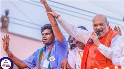 ರಾಜಸ್ಥಾನದಿಂದ ರಾಜ್ಯಸಭೆಗೆ ಅಣ್ಣಾಮಲೈ ನಾಮ ನಿರ್ದೇಶನ