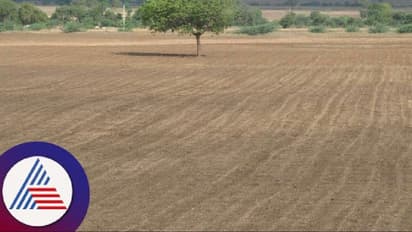 ವಿಜಯಪುರ: ಮುಂಗಾರು ವಿಫಲ, ಜನರಲ್ಲಿ ಬರದ ಭೀತಿ!