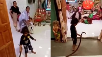 പാമ്പിനോടൊപ്പം കളിച്ച് കുട്ടി, മാതാപിതാക്കൾക്ക് സോഷ്യൽ മീഡിയയിൽ രൂക്ഷ വിമർശനം