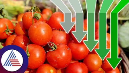 ಅನೇಕ ರಾಜ್ಯಗಳಲ್ಲಿ ಟೊಮ್ಯಾಟೋ ದರ ಕೆಜಿಗೆ 80ರೂ.ಗೆ ಇಳಿಕೆ; ಬೆಲೆಯೇರಿಕೆ ತಡೆಗೆ ಕೇಂದ್ರದ ಮಹತ್ವದ ಕ್ರಮ