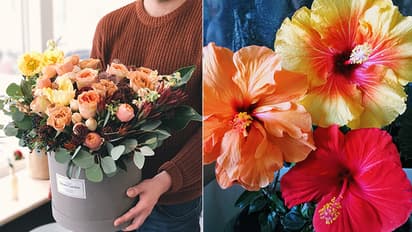 Face Glow: ఈ పూలు ముఖానికి పెట్టినా.. స్కిన్ మెరిసిపోద్ది