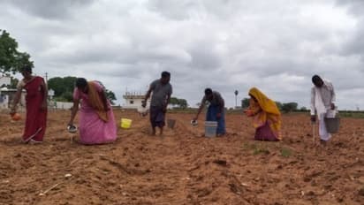 ಬಾರದ ಮಳೆ: ಯಾದಗಿರಿಯಲ್ಲಿ ಅಳಿದುಳಿದ ಬೆಳೆ ಸಂರಕ್ಷಣೆಗೆ ರೈತರ ಹರಸಾಹಸ..!