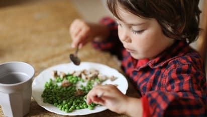 കുട്ടികളുടെ തലച്ചോറിന്‍റെ വളര്‍ച്ചയ്ക്കായി നല്‍കാവുന്ന എട്ട് ഭക്ഷണങ്ങള്‍...