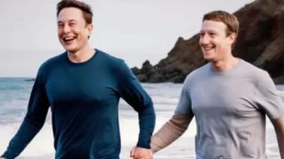 എഐയുടെ ഒരോ കളികളെ; ബീച്ചില്‍ ഉല്ലസിച്ച് മസ്കും സക്കർബർ​ഗും