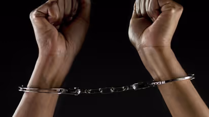 Delhi domestic help 'abuse' case: Woman pilot sent to judicial custody; check details