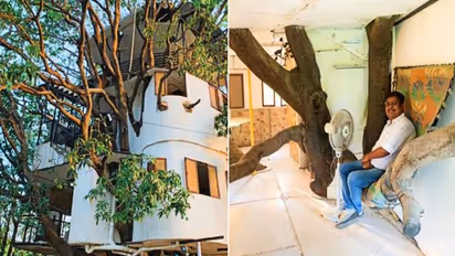 മാവിൽ തന്നെ പണിതിരിക്കുന്ന നാല് നില വീട്, ചില്ലകൾ പോലും മുറിച്ചുമാറ്റിയില്ല, ആകർഷണമായി ഈ ട്രീഹൗസ്