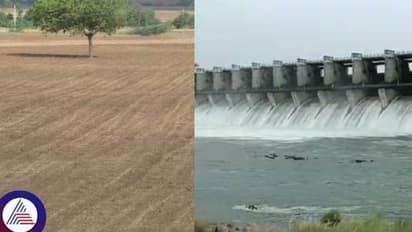 ಬರದ ನಾಡಲ್ಲಿ ಭರವಸೆ ಮೂಡಿಸಿದ ಜಿಟಿಜಿಟಿ ಮಳೆ: ಬಿತ್ತನೆಗೆ ಗ್ರೀನ್ ಸಿಗ್ನಲ್ ಕೊಟ್ಟ ಹವಾಮಾನ ಇಲಾಖೆ