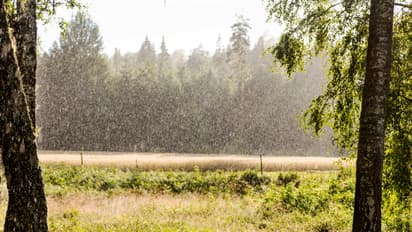 ದಾವಣಗೆರೆ ಜಿಲ್ಲೆಯಲ್ಲಿ 7.8 ಮಿ.ಮೀ. ಮಳೆ: 20.70 ಲಕ್ಷ ರೂ. ನಷ್ಟ