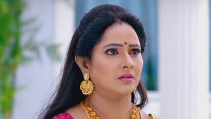 Brahmamudi: రుద్రాణికి తల తిరిగిపోయేలా సమాధానమిచ్చిన రాజ్.. ఇంటి పరువు బజారుకి ఈడ్చిన స్వప్న?