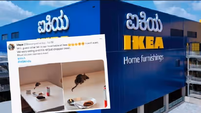 Bengaluru: IKEA apologizes after customer finds dead rat on foodcourt table