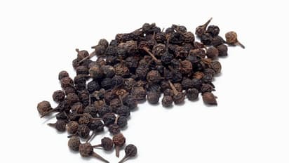 வால் மிளகில் இத்தனை மருத்துவ குணங்கள் இருக்கா? கட்டாயம் தெரிந்துகொள்ளுங்கள்