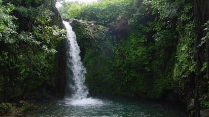 Dive into the mystical woods of Apsarakonda this monsoon