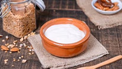 Weight Loss: 5 incredible benefits of eating Curd