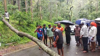 ಸಕಲೇಶಪುರದಲ್ಲಿ ಬೆಂಬಿಡದ ಮಳೆ: ಧರೆಗುರುಳಿದ ಮರ, ಜನಜೀವನ ಅಸ್ತವ್ಯಸ್ತ