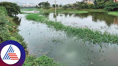 Sluice gates to prevent flooding in Bengaluru stuck in bureaucratic quagmire