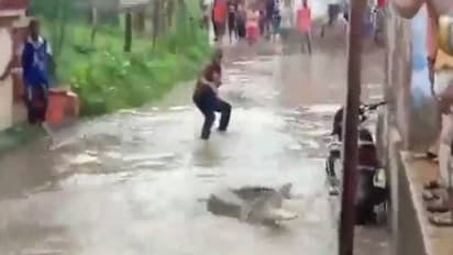 Viral video: വെള്ളപ്പൊക്കം, വീടുകളിലും കുളിമുറികളിലും വരെ മുതലകൾ, മുതലപ്പേടിയുമായി ജനങ്ങൾ