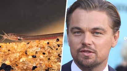 Leonardo DiCaprio amazed by rare groundwater fish 'Pathala Eel Loach' captured by Malayali enthusiast