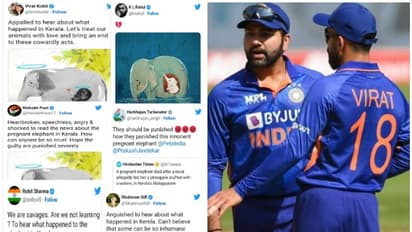 മണിപ്പൂര് സംഭവത്തില് ക്രിക്കറ്റര്മാര്ക്ക് മൗനം! കേരളത്തില് ആന ചരിഞ്ഞപ്പോള് പ്രതികരിച്ച താരങ്ങളെവിടെ?