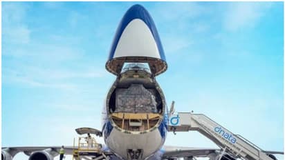 വന് റിക്രൂട്ട്മെന്റുമായി ഡിനാറ്റ; ആയിരക്കണക്കിന് പേര്ക്ക് തൊഴിലവസരങ്ങള്