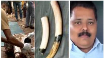 കാട്ടനയെ കൊന്ന് കുഴിച്ചിട്ടു, ഒരു കൊമ്പിന്റെ പകുതിയും വെട്ടിയെടുത്തു; തോട്ടമുടമ ഉള്പ്പെടെ 2 പേർ കീഴടങ്ങി