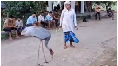 ചായക്കടക്കാരനും സാരസ കൊക്കും തമ്മില്‍ സൗഹൃദം; പിന്നാലെ കേസെടുത്ത് വനം വകുപ്പ് !